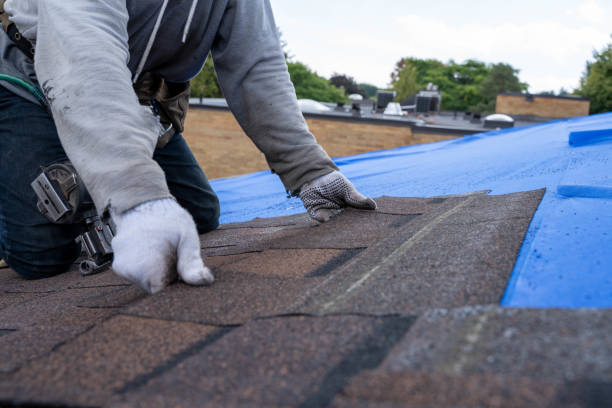 Best Roofing Contractor Near Me  in Howell, MI