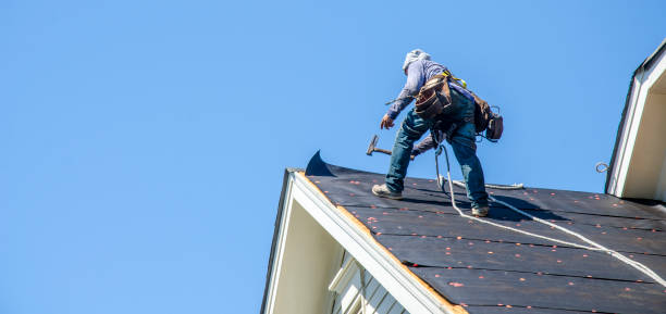 Best Roof Maintenance Services  in Howell, MI
